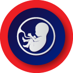 Fetal medicine